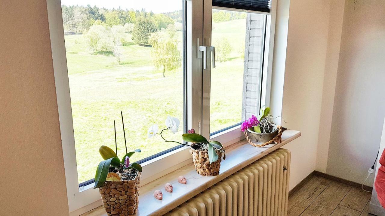 Monis Gemuetliche Ferienwohnungen Suhl Buitenkant foto